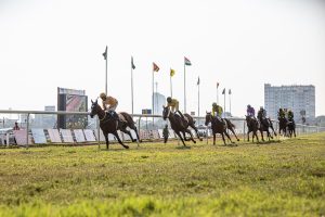 Trusted Best Odds for Horse Racing: Pro Tips to Win in India (2026)