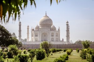 Best Cricket Betting App India 2026 vs 22Bet: Which Is Better for Indians in 2026?